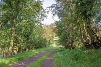 Farm Track